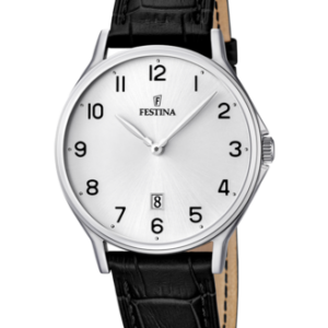 Festina Herren Uhr f16745_1