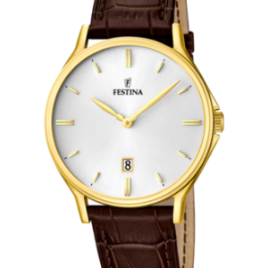Festina Herren Uhr f16747_1