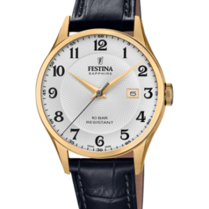 Festina Herren Uhr f20010_1