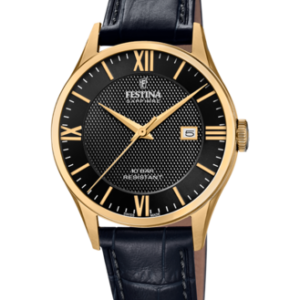 Festina Herren Uhr f20010_4