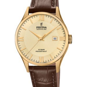 Festina Herren Uhr f20010_5