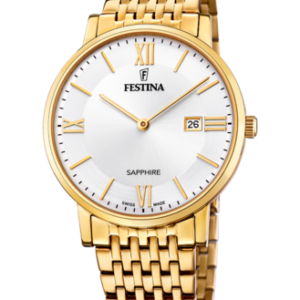 Festina Herren Uhr f20020_1