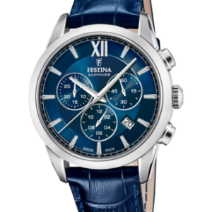 Festina Herren Uhr f20041_2