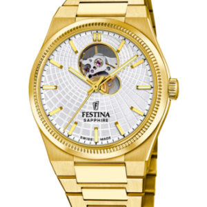 Festina Herren Uhr f20062_1