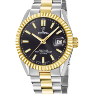 Festina Herren Uhr f20085_c