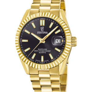 Festina Herren Uhr f20086_b