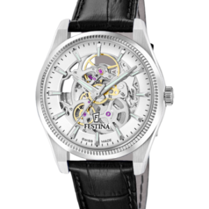 Festina Herren Uhr f20095_1