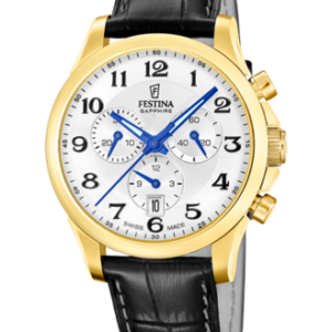 Festina Herren Uhr f20099_1s