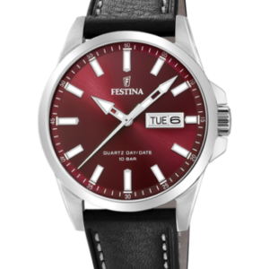 Festina Herren Uhr f20358_g