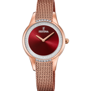 Festina Damen Uhr f20496_1