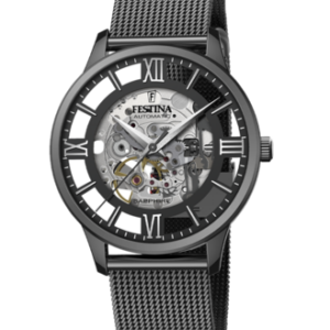 Festina Herren Uhr f20535_1