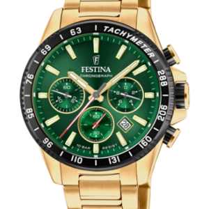 Festina Herren Uhr f20634_4