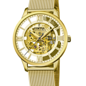 Festina Herren Uhr f20667_1