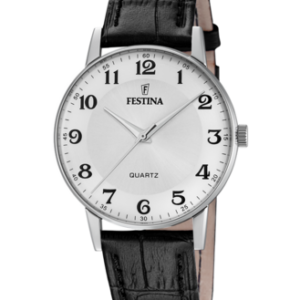 Festina Herren Uhr f20690_1
