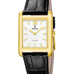 Festina Herren Uhr f20772_3
